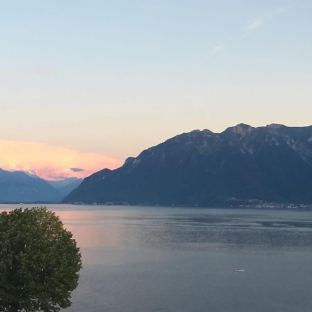 La Gremillette Gourmande Lavaux Daire Rivaz Dış mekan fotoğraf