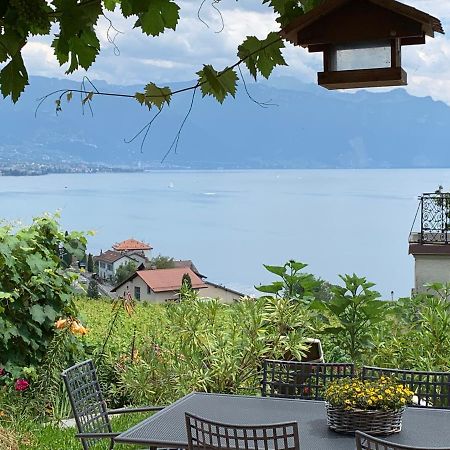 La Gremillette Gourmande Lavaux Daire Rivaz Dış mekan fotoğraf