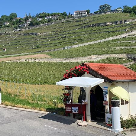 La Gremillette Gourmande Lavaux Daire Rivaz Dış mekan fotoğraf