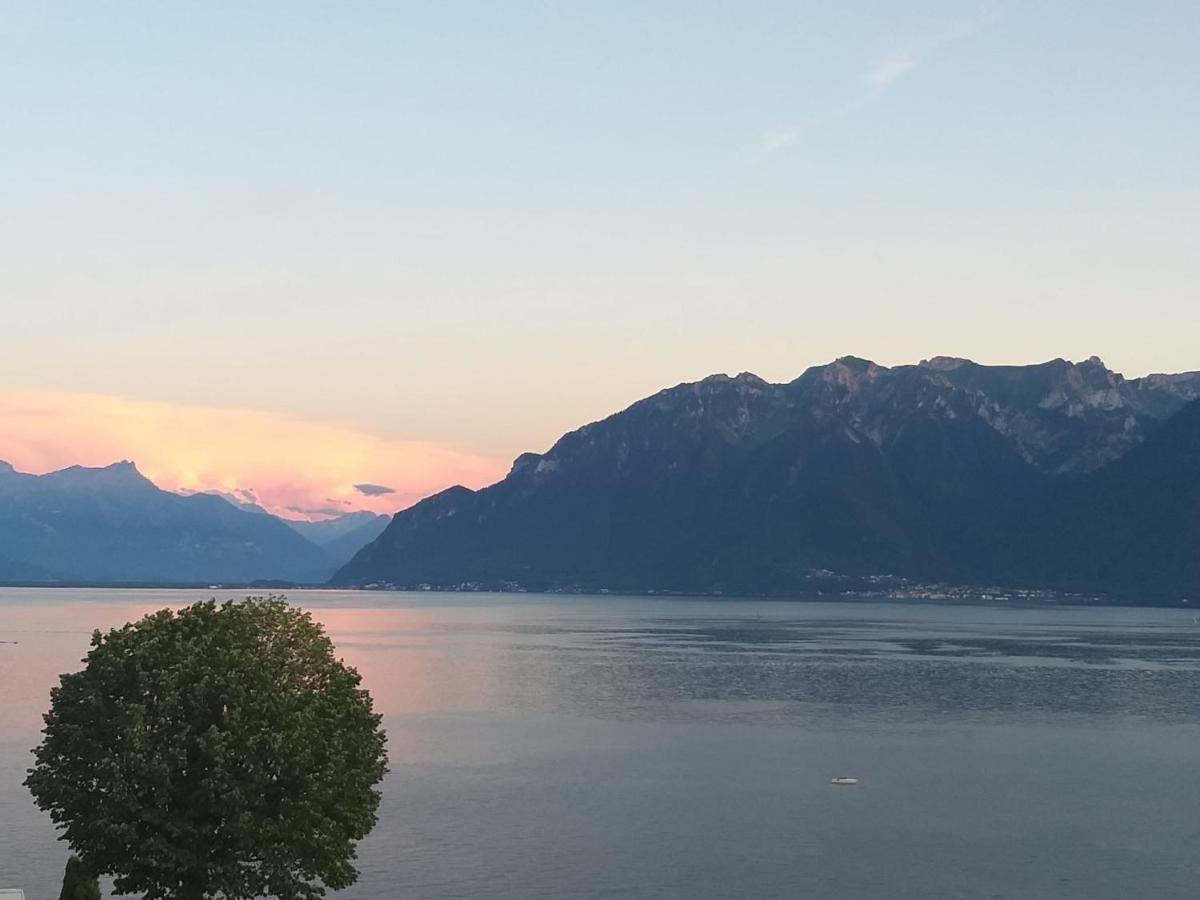La Gremillette Gourmande Lavaux Daire Rivaz Dış mekan fotoğraf