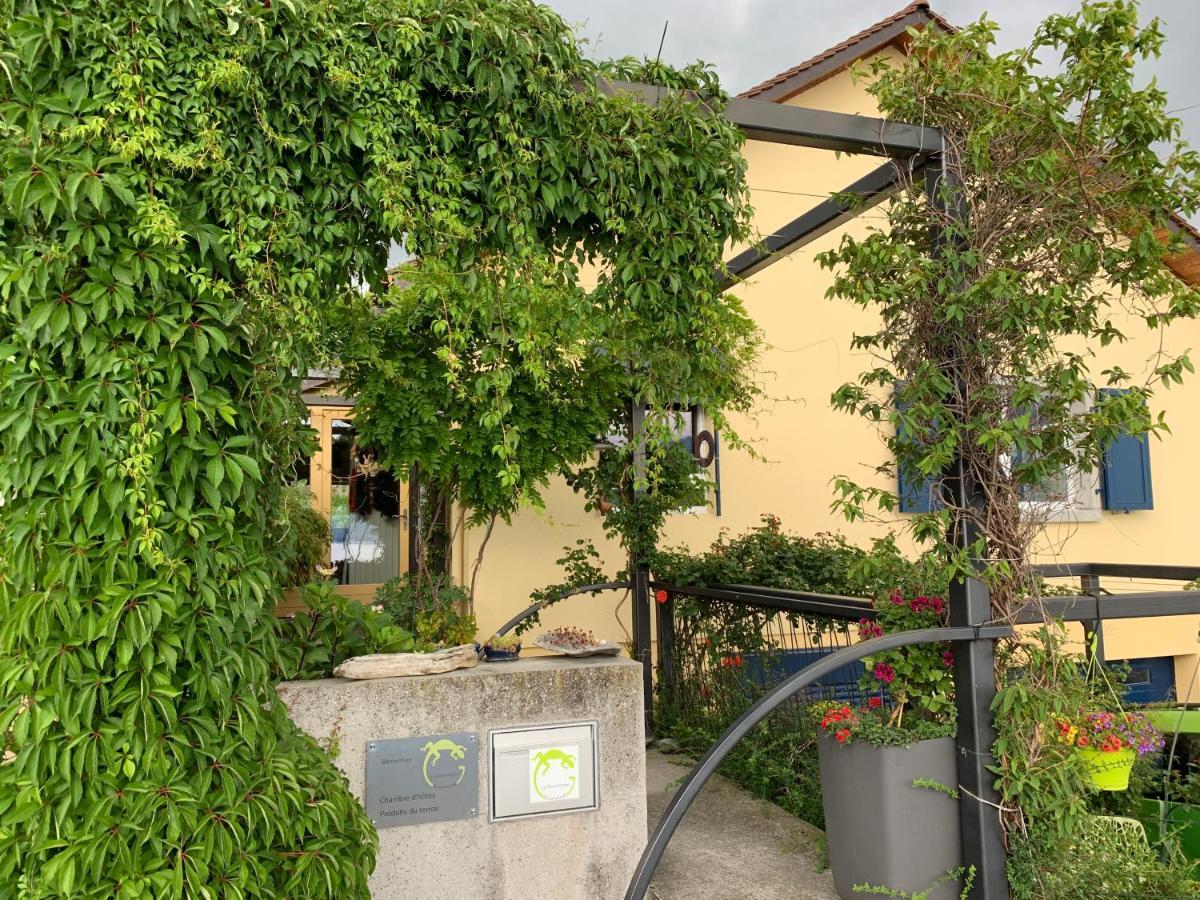 La Gremillette Gourmande Lavaux Daire Rivaz Dış mekan fotoğraf