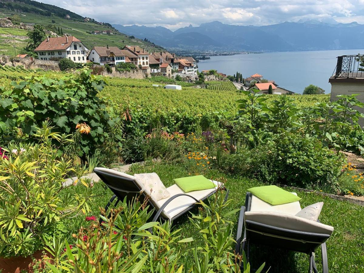 La Gremillette Gourmande Lavaux Daire Rivaz Dış mekan fotoğraf
