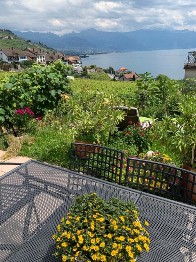 La Gremillette Gourmande Lavaux Daire Rivaz Dış mekan fotoğraf