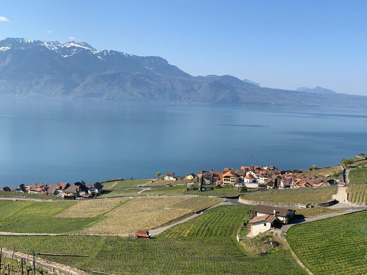 La Gremillette Gourmande Lavaux Daire Rivaz Dış mekan fotoğraf