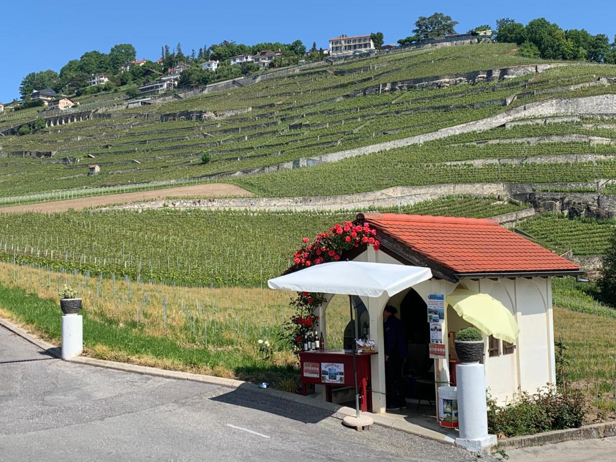 La Gremillette Gourmande Lavaux Daire Rivaz Dış mekan fotoğraf