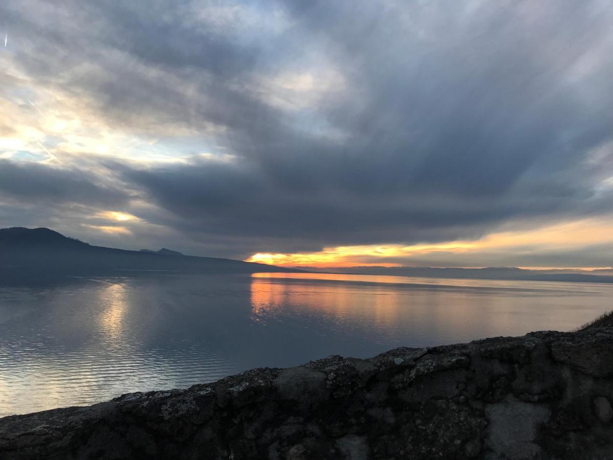 La Gremillette Gourmande Lavaux Daire Rivaz Dış mekan fotoğraf