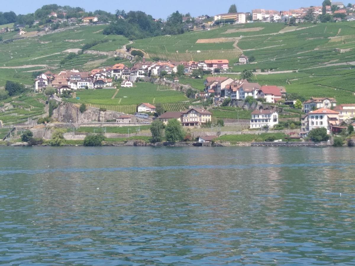 La Gremillette Gourmande Lavaux Daire Rivaz Dış mekan fotoğraf