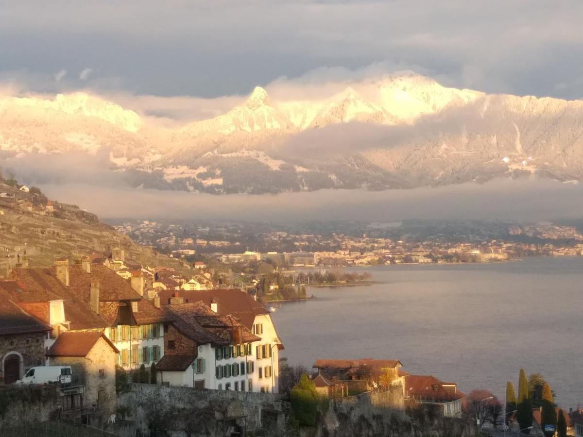 La Gremillette Gourmande Lavaux Daire Rivaz Dış mekan fotoğraf