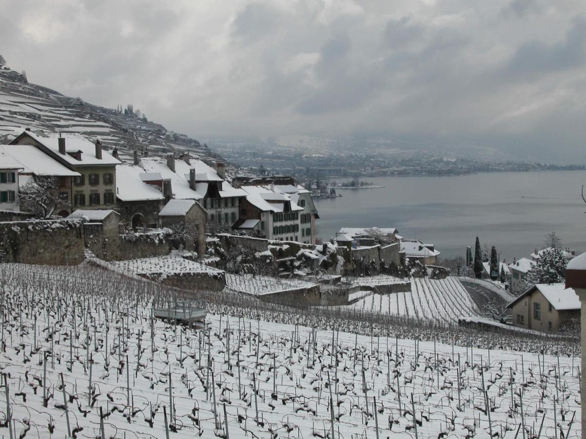 La Gremillette Gourmande Lavaux Daire Rivaz Dış mekan fotoğraf